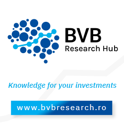 BVB Research Hub
