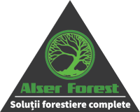 ALSER FOREST Ob. 2024